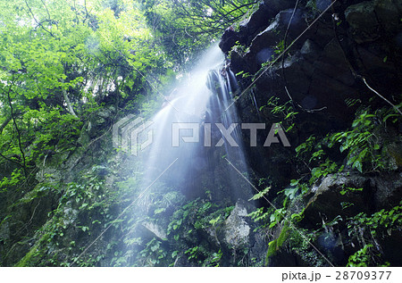 滝 滝 28709377