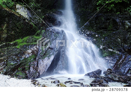 滝 滝 28709378