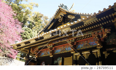 久能山東照宮 28709511