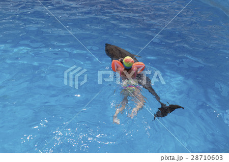 Little girl swim on dolphin Little girl swim on dolphin 28710603