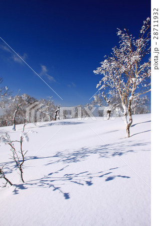 朝の雪原～幌滝山周辺の冬景色 28711932