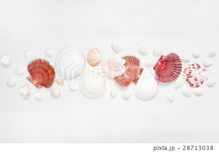 Sea shells on the whote wooden boards Sea shells on the whote wooden boards 28713038