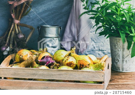 Box of onion on rustic table Box of onion on rustic table 28715460