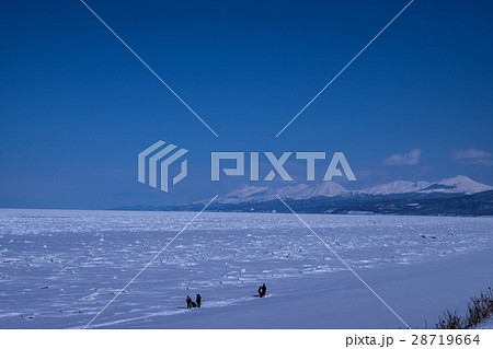 オホーツク海に浮かぶ流氷塊　（斜里町） 28719664