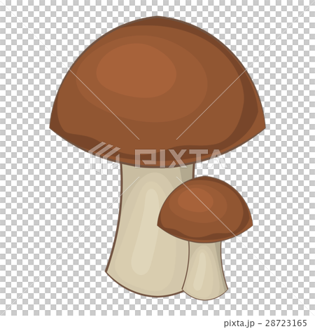 Mushroom icon, cartoon style 28723165
