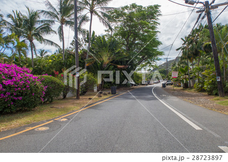 ラニカイビーチ周辺の風景 28723897