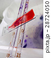 Microscope slide with red strain 28724050