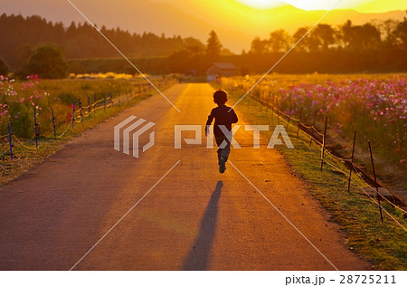 夕日に向かって走る子どもの写真素材