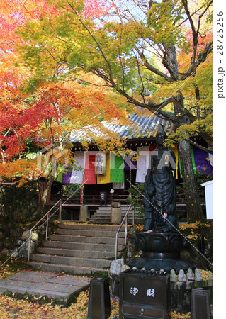 今熊野観音寺 今熊野観音寺 28725256