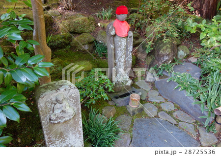 報国寺 28725536