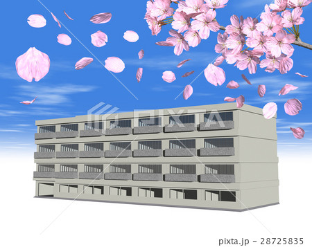 学校と桜の風景 学校と桜の風景 28725835