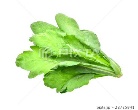 edible chrysanthemum leaf isolated on white 28725941