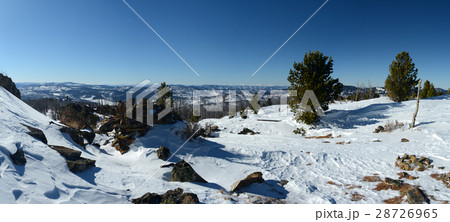 Winter mountain trees 28726965