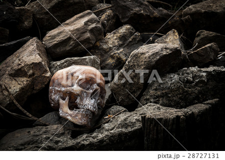 Still life with human skull on the rocks Still life with human skull on the rocks 28727131