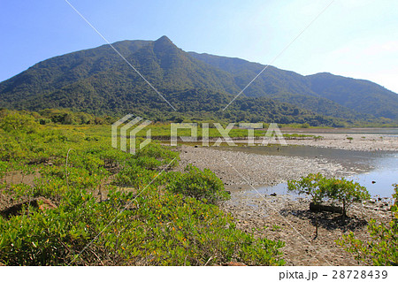 wetland of Yung Shue O wetland of Yung Shue O 28728439
