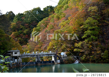 矢倉発電所の紅葉　③ 28728815