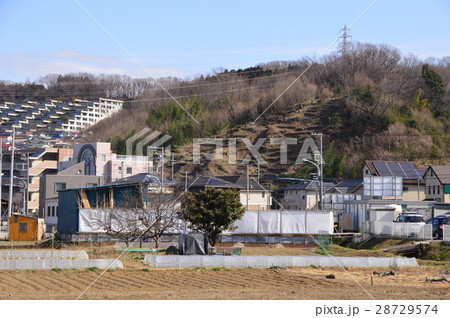 都立長沼公園 八王子  都立長沼公園 八王子  28729574