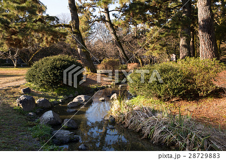 京都御苑の風景 28729883