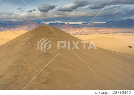 Mesquite Flat Sand Dunes, Death Valley 28730340