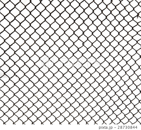metal grid on a white background 28730844