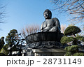 東京 板橋 東京大仏 28731149