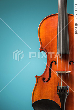 The violin front view on blue 28731561