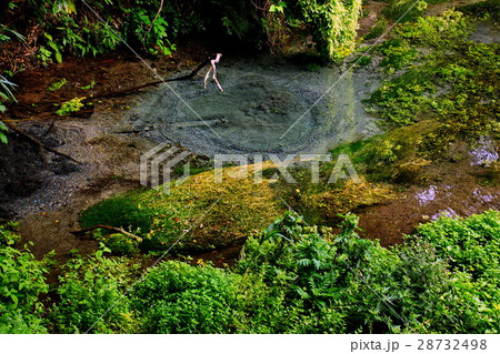 柿田川湧水群　第一展望台 ・ 水源　（ 名水百選 ）　静岡県 駿東郡 清水町 28732498