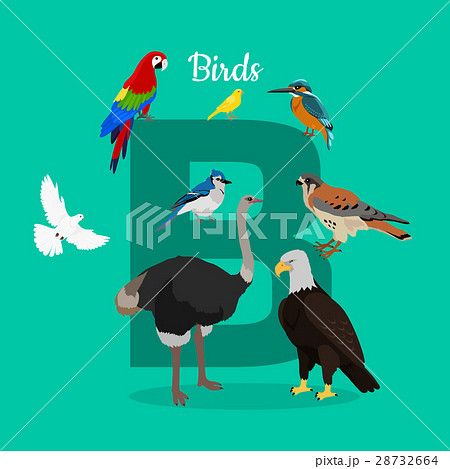 Birds with Letter B Isolated. ABC, Alphabet. - Stock Illustration  [28732664] - PIXTA
