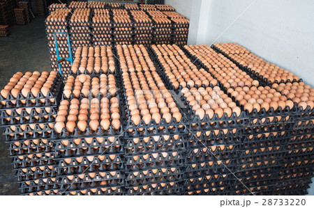 Eggs from chicken farm in the package for sale. Eggs from chicken farm in the package for sale. 28733220