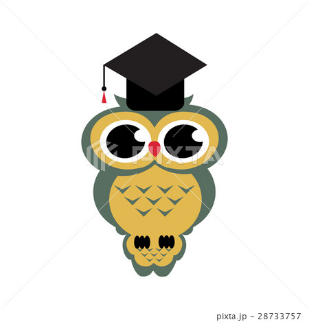 Vector owl sitting on a branch on the isolated  28733757