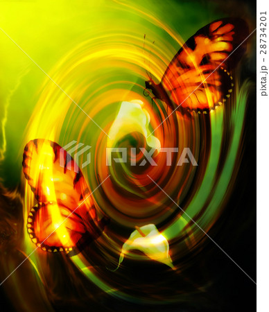 flying butterfly on decorative background with flying butterfly on decorative background with 28734201