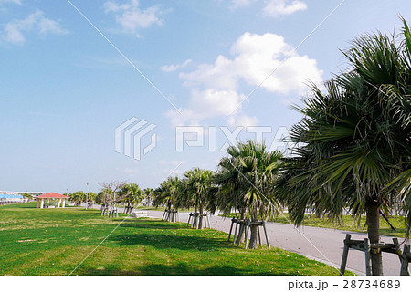 沖縄 沖縄 28734689