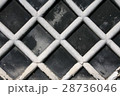なまこ壁 28736046