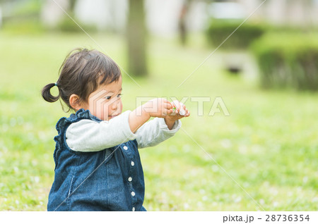 緑地で遊ぶ幼児　春 28736354