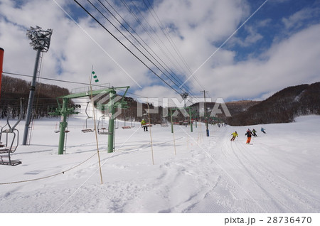札幌藻岩山スキー場フレンドリーゲレンデ 28736470
