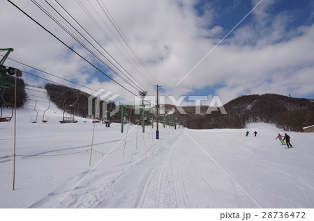 札幌藻岩山スキー場フレンドリーゲレンデ 28736472