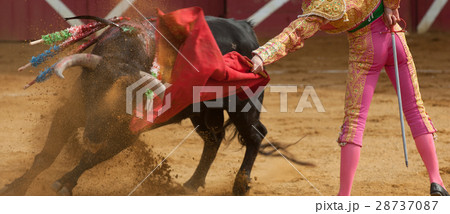 El Toro - Bullfigth corrida 28737087
