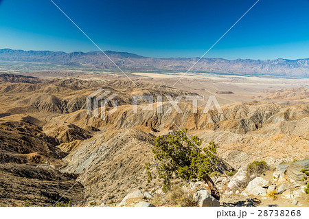 Joshua Tree National Park 28738268