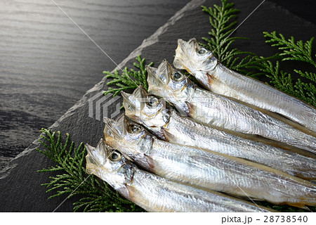 子持ち　カラフトシシャモ 28738540