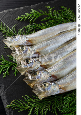 子持ち　カラフトシシャモ 28738542