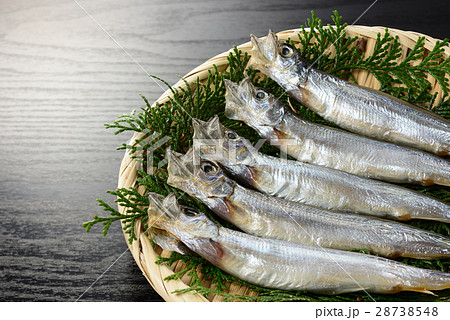 子持ち　カラフトシシャモ 28738548