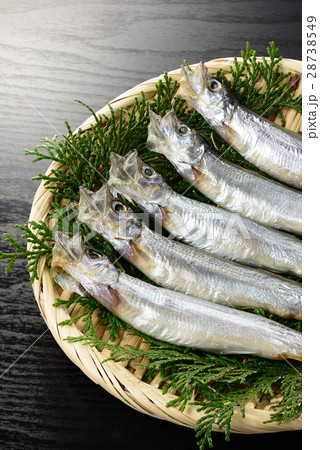 子持ち　カラフトシシャモ 28738549