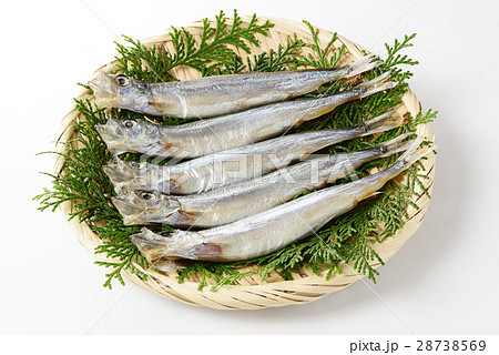 子持ち　からふとししゃも 28738569