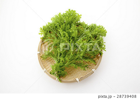 山葵菜俯瞰ザル入り 28739408