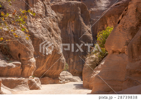 Siq passage in Petra, Jordan Siq passage in Petra, Jordan 28739838