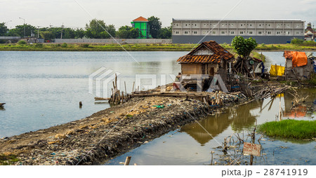 A slum on the lake A slum on the lake 28741919