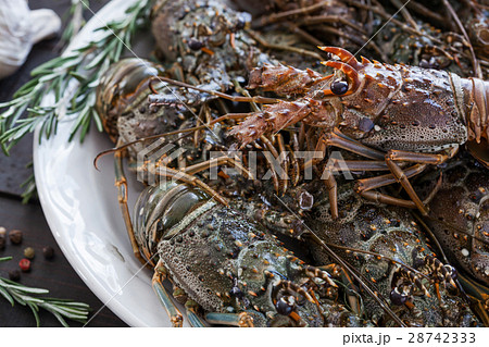 Spiny lobsters 28742333