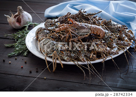 Spiny lobsters 28742334