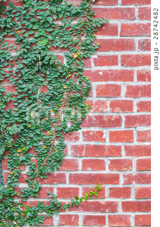 植物 工場 プランツ 28742482