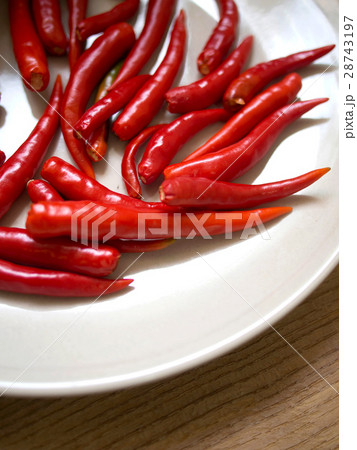 Hot chilli red on plate 28743197